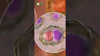 What Is Cervical Cancer? 🎗️ Explained Clearly by Dr. Shweta Verma #ramahospital