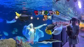 인어공주 보러 간 짱예 | 세번째 아쿠아리움 | 26개월 공주라불러다오 #광교 #광교아쿠아플라넷 #아쿠아리움 #육아 #육아일기 