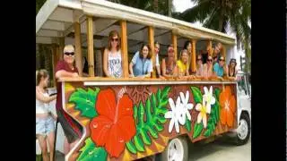 Raro Party Promotion