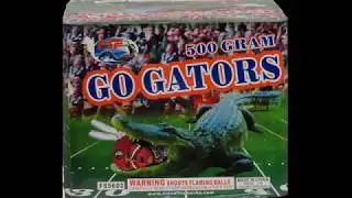 Go Gators -  Four Seasons Fireworks