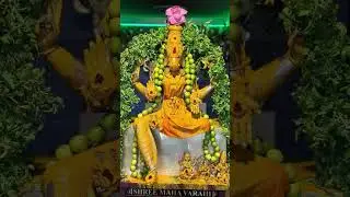 #வாராஹி #வாராஹிஅம்மன் #varahi #varahidevi #varahivijayayatra #motivation #shortvideo #shortsfeed #yt