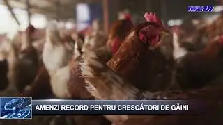 ȘTIRILE TELE`M Botoșani 29 ianuarie 2026