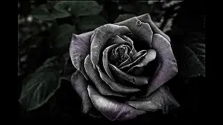 [FREE] Juice WRLD x Iann Dior TYPE BEAT (prod by. Ajay)