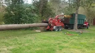Tree chipping
