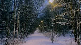 Minute Meditation - Walk in a Snow Aisle