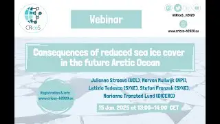 CRiceS webinar - Consequences of reduced sea ice cover in the future Arctic Ocean