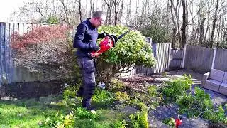 #31  small garden tidy-up another regular maintenance  job to the list.