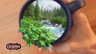 Taste Our World | Celestial Seasonings | Peppermint