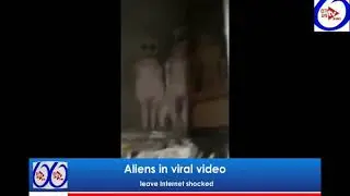 Aliens in viral video leave Internet shocked.