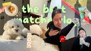 Spend the Day With Me | Valentine’s Shopping, cozy cooking & finding the *BEST* matcha