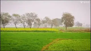 Gaon Ma Parindo ki awaz or boot acha mosam 
