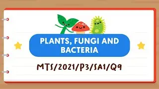 PSLE SCIENCE MADE SIMPLE EP109 | Plants, Fungi & Bacteria | Which Organism Is Classified Wrongly? 🍄