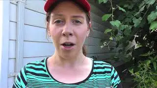 My Family's Conservative Story  #WalkAway
