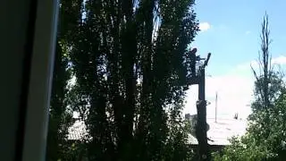 DSCF0593