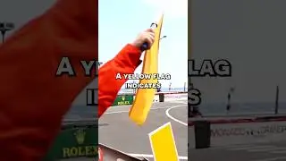 F1 flags... explained