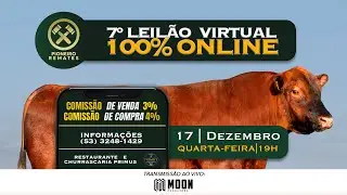 7&ordm; LEIL&Atilde;O VIRTUAL | Pioneiro Remates | Pinheiro Machado-RS