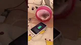 mobile charger funny video 😂😂