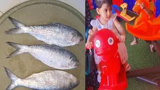 সকাল সকাল শুশুড় আব্বা ইলিশ মাছ নিয়ে আসলো। 