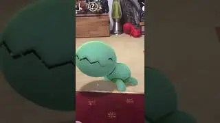 Remember to pet your Trapinch