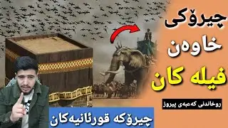 بەسەر هاتی هیرشکردنە سەر کەعبەی پیرۆز بە فیل أصحاب الفيل چیروکی خاوەن فیلە کان