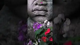 Unveiling the Secrets of the Olmec Civilization