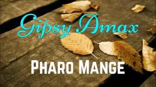 Gipsy Amax   Pharo Mange