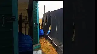 Чудо туалет из Китая
