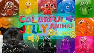 Colorful Jelly Animal Sounds Adventure! 🐻🍬🦜 | Zoo Animal Noises & Colors! | Roar, Purr & Quack!