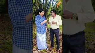,Dr.rajkumar#memories#Kannada#trending#support#dr.rajkumar#Puneeth.Rajkumar#Shivarajkumar