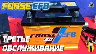 FORSE EFB - ТРЕТЬЕ ОБСЛУЖИВАНИЕ (Осень 2021)