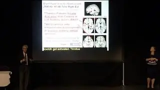 Human brain imaging and animal models of tinnitus, hyperacusis and hearing loss.