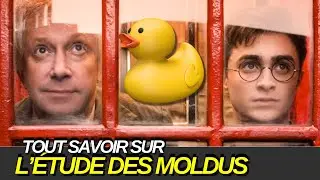 L'ETUDE DES MOLDUS, UNE MATIERE MÉPRISÉE ?