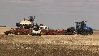 Sask. farm real estate value continues skyrocketing, but what does it mean for farmers?