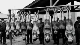🔴▶These Rare Historical Photos you've Never seen You Need To See.