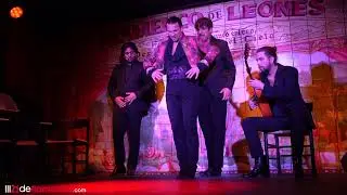 Jonatan Mir&oacute;  en Flamenco de Leones