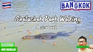 A Slow Walk in Chatuchak Park 4K | Bangkok 🇹🇭
