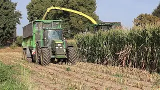 Mais H&auml;ckseln 2025 (Teil 1) John Deere 7810 im Einsatz