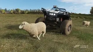 Forza Horizon 4 - Can You Run Over Sheep?