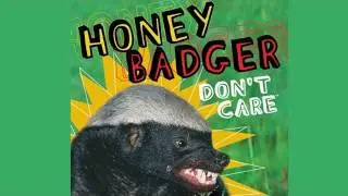 Honey Badger Video Creator May Get His Own TV Show