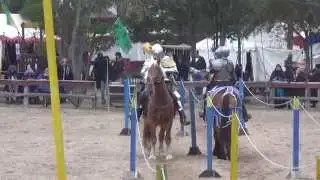 Jousting - 2nd Session, Mark Desmond & Charlie Andrews at Sherwood Forest Faire 2015