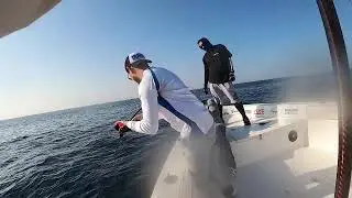 FAST AND SLOW JIGGING TRIP IN THE UAE + Tips on how to use slow jigs