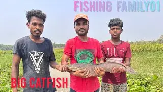 Fishing Video  || Three expert fishermen fishing in canal || Big Catfish Fishing