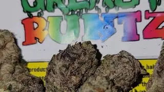 Harmonized Hemp Cannabis review - Meat the Gelato, Gary Payton, Greasy Runtz & Kush Sorbet