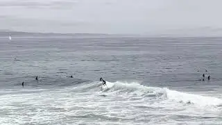Santa Cruz: The Surreal Surfing Adventure