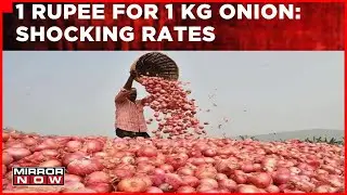 Shocking Decline In Wholesale Price Of Onion | Nashik Farmers In Serious Dilemma | Latest Update
