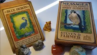 ◇ Messages from your Animal Spirit Guides Oracle Deck ♡ Review and Thoughts 😍💖☺