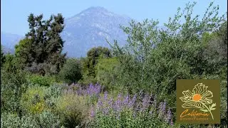 California Botanic Garden - Our Story