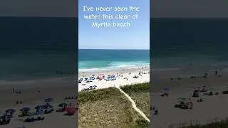 The people call it dirty Myrtle, look at the water!