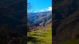 Manastiri I Sh&euml;n Maren&euml;s - Ll&euml;ng&euml; 28 Dhjetor 2025
