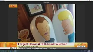 Amazing Beavis and Butt-Head Collection!